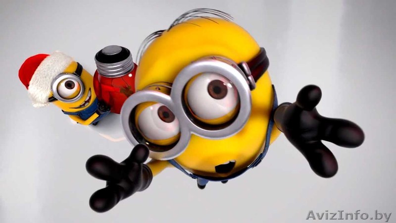 Магазин детских игрушек Дай-Дай в г. Бобруйске - Изображение #1, Объявление #1011008