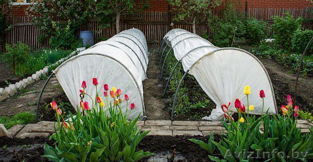 Продам парники оптом - Изображение #1, Объявление #1276852