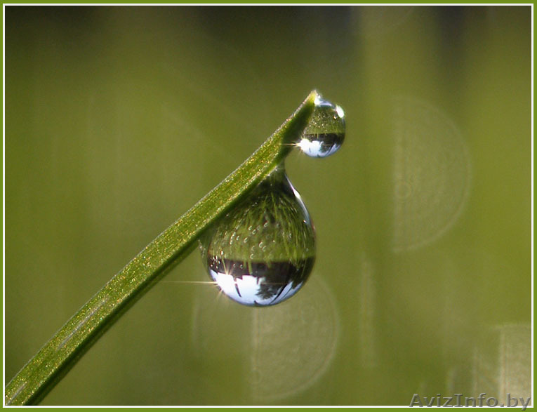 Бурение скважин на воду в Бобруйске и районе - Изображение #1, Объявление #1455890