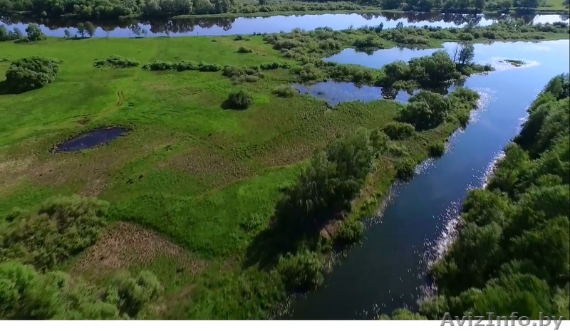 Коттедж на берегу реки в лесу - Изображение #1, Объявление #1464700