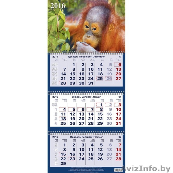 оперативная полиграфия. рекламные услуги в бобр - Изображение #1, Объявление #1563349