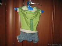 одежду для маленькой породы собак - Изображение #5, Объявление #42057