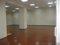 Продается отдельно стоящее здание магазина - Изображение #5, Объявление #297560