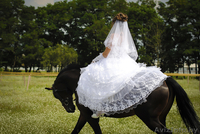 ПРОФЕССИОНАЛЬНАЯ ФОТО и ВИДЕО СЪЁМКА СВАДЕБ! - Изображение #1, Объявление #544684