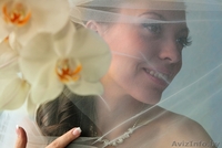 ФОТО и ВИДЕО для ВАС ! - Изображение #2, Объявление #747462