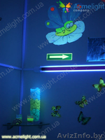 Магазин франшиз в г. Бобруйск - Изображение #2, Объявление #837893