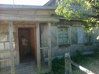 Дача 40 км от Бобруйска - Изображение #1, Объявление #877798