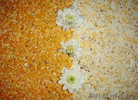 Натяжные потолки по низким ценам, любой сложности! Жидкие обои! Бобруйск - Изображение #4, Объявление #1020143