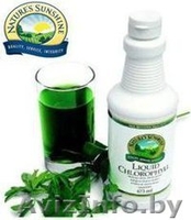 WELLNESS продукция и косметика NSP! Бесплатная регистрация! - Изображение #3, Объявление #1141436