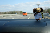 Трансфер Бобруйск - Минск - Бобруйск, Гомель - Минск - Гомель. - Изображение #9, Объявление #1248532