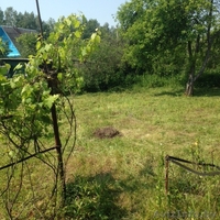 Дача с участком, остановка электрички возле дачи. Дачный поселок Бибковщина - Изображение #1, Объявление #1273145