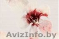 Снижаем цены до 70% - Изображение #1, Объявление #1574641