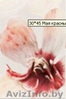 Ликвидация керамической плитки! - Изображение #1, Объявление #1616016