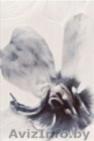 Ликвидация керамической плитки! - Изображение #3, Объявление #1616016