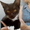 Котенок в добрые руки - Изображение #1, Объявление #297461