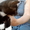 Котенок в добрые руки - Изображение #3, Объявление #297461