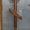  ритуальные услуги деревянные кресты в ассортименте по оптовым ценам 
