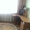 3х комнатную квартиру в Бобруйске #1426824