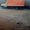 грузоперевозки по Беларуси и России 3,4,5,10 тонн тенты и меб фургоны - Изображение #3, Объявление #1530275