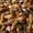 Зерно фуражное:пшеница,ячмень, тритикале,кукуруза, овес,рожь - Изображение #4, Объявление #1591975