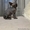 Грациозные котята- канадские сфинксы - Изображение #3, Объявление #1380106