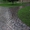 Бобр Укладка тротуарной плитки, брусчатки от 50м2 - Изображение #1, Объявление #1623431