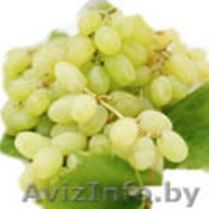 фрукты из Индии, Пакистана (виноград, мандарин) - Изображение #3, Объявление #102956