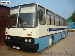 Автобус Ikarus-256 - Изображение #1, Объявление #826251
