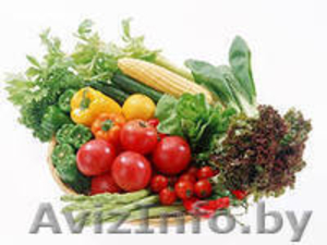 теплицы для садоводов