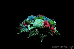 Каталог франшиз  