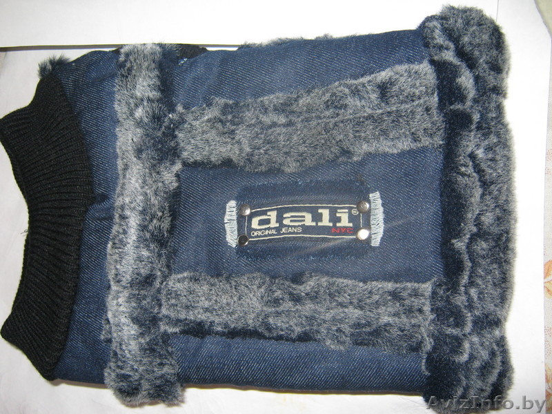 одежду для маленькой породы собак - Изображение #4, Объявление #42057