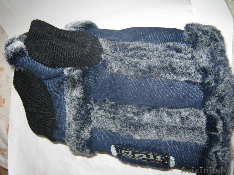 одежду для маленькой породы собак - Изображение #1, Объявление #42057