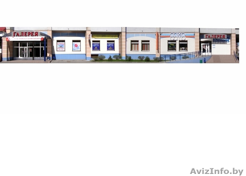 Сдам в аренду торговые площади ( г. Бобруйск ) - Изображение #2, Объявление #80427