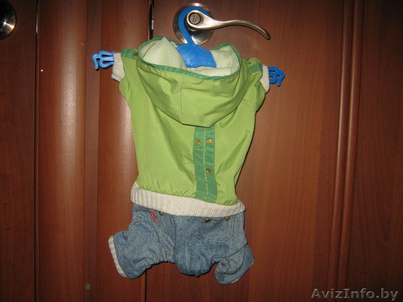 одежду для маленькой породы собак - Изображение #5, Объявление #42057