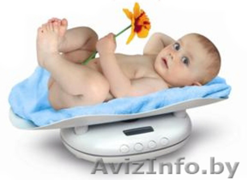 viprokat- прокат товаров для всей семьи - Изображение #3, Объявление #46194