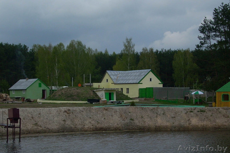 База отдыха 200 соток д. Михайловка - Изображение #1, Объявление #260602