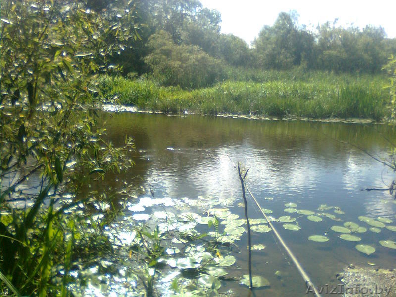  Усадьба "ЛИЛИЯ" - Изображение #9, Объявление #44424