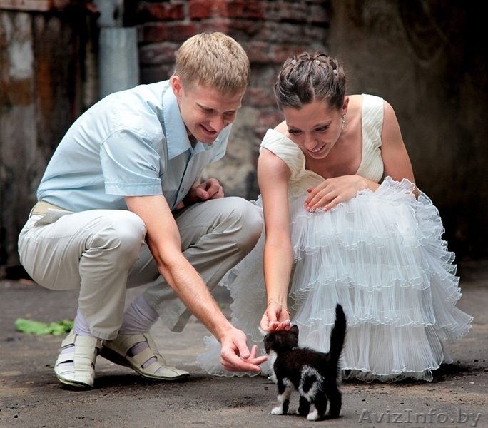 ФОТО и ВИДЕО для ВАС ! - Изображение #1, Объявление #747462