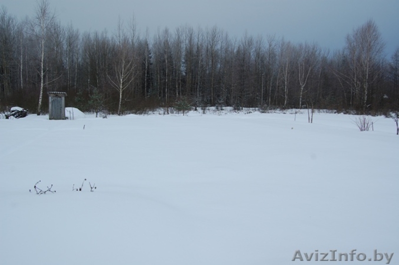 Продается дача около Глуши - Изображение #5, Объявление #822489