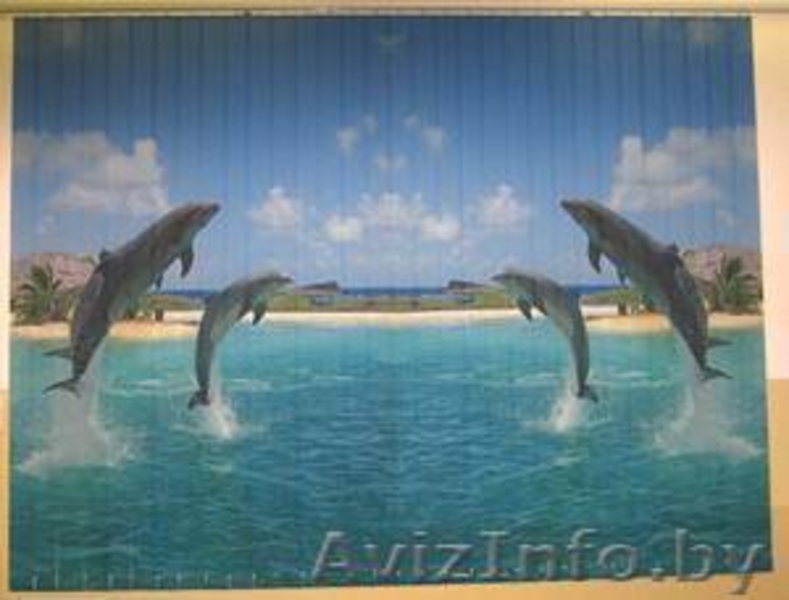 ЖАЛЮЗИ, РОЛЬШТОРЫ, МОСКИТНЫЕ СЕТКИ установлю в Бобруйске - Изображение #5, Объявление #857036