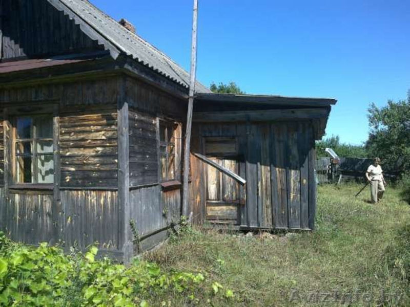 Дача 40 км от Бобруйска - Изображение #4, Объявление #877798