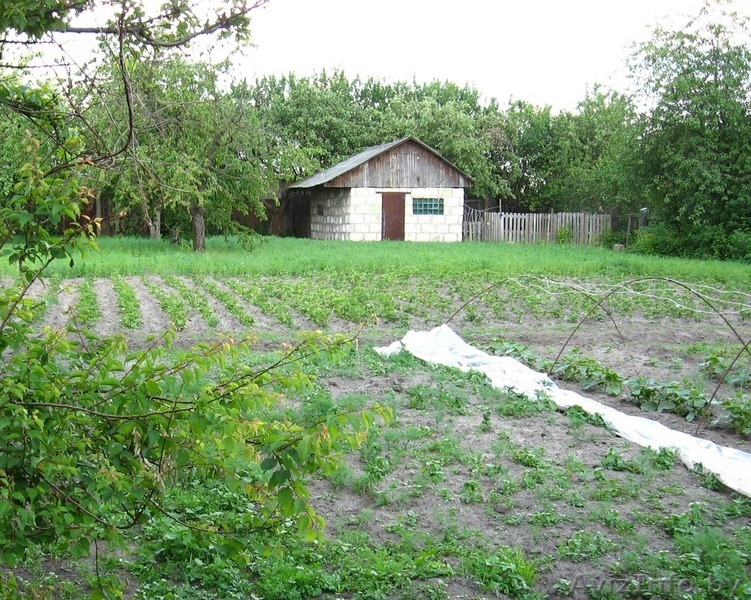 ПРОДАМ ДЕРЕВЯННЫЙ ДОМ В БОБРУЙСКЕ - Изображение #2, Объявление #947677