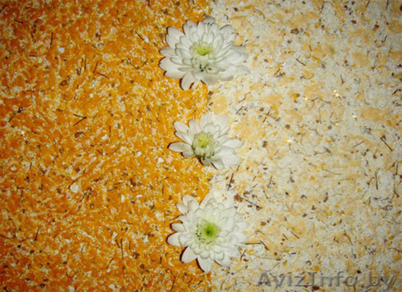 Натяжные потолки по низким ценам, любой сложности! Жидкие обои! Бобруйск - Изображение #4, Объявление #1020143