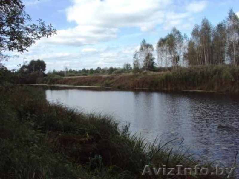 Продается база отдыха, санаторный дом в Беларуси, Бобруйский район - Изображение #4, Объявление #1016887