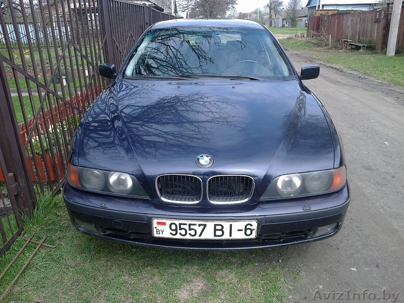 БМВ 520 в отличном состоянии - Изображение #2, Объявление #1057984
