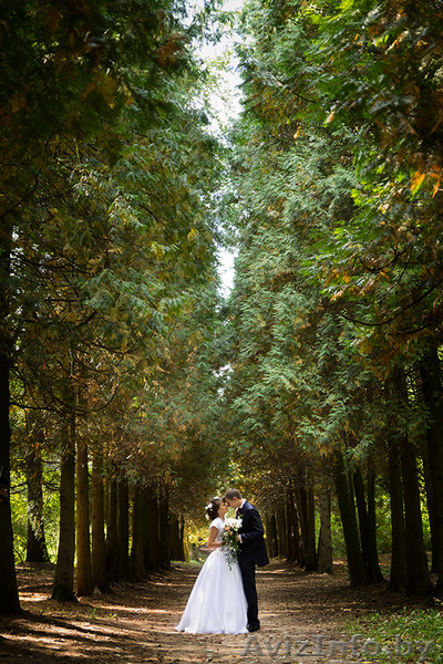 Свадебная фотография для хороших людей - Изображение #2, Объявление #1178135