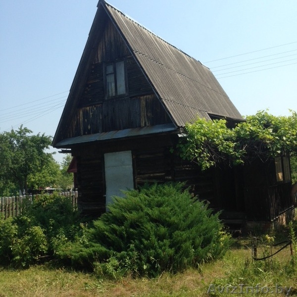 Дача с участком, остановка электрички возле дачи. Дачный поселок Бибковщина - Изображение #4, Объявление #1273145
