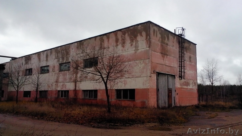 Производственное здание многоцелевое - Изображение #4, Объявление #1340092