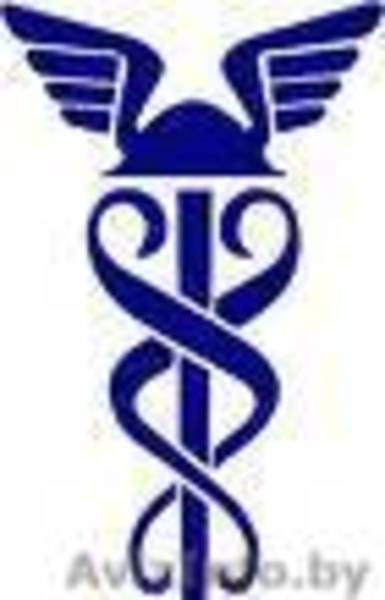 Переводы и Курсы иностранных языков в Бобруйске!!! - Изображение #3, Объявление #1428564