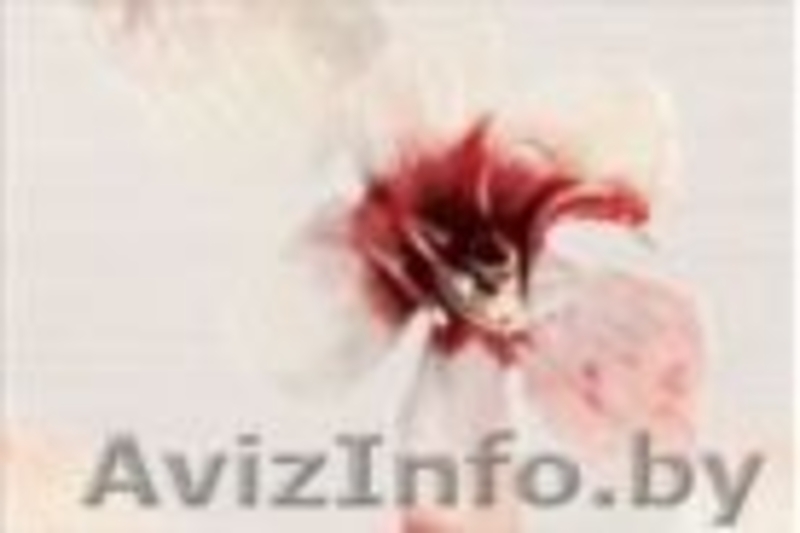 Снижаем цены до 70% - Изображение #1, Объявление #1574641